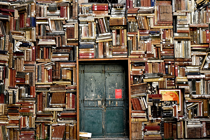 Обшарпанная дверь, окруженная книжными полками